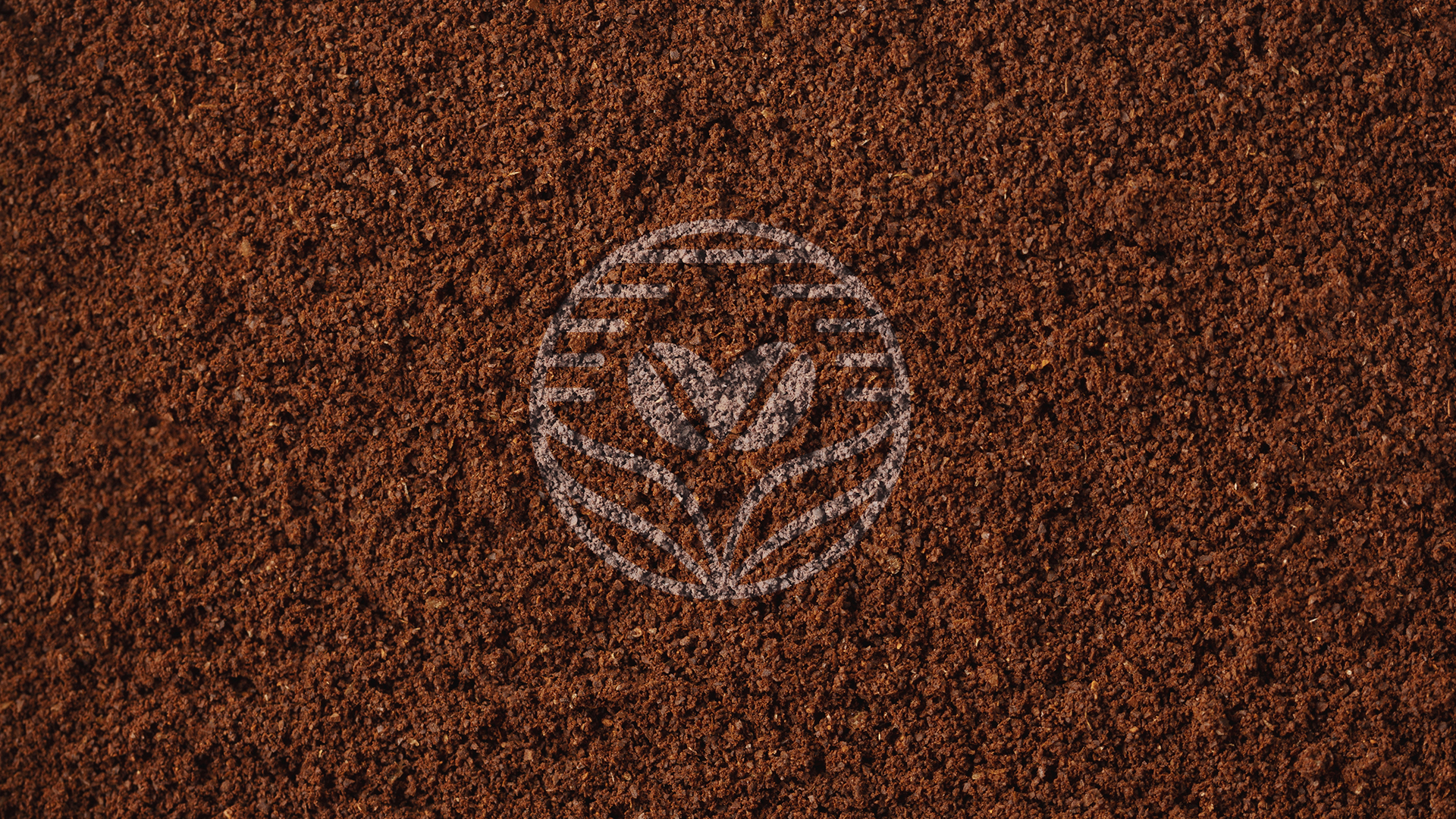 Café Reviver — Aplicação